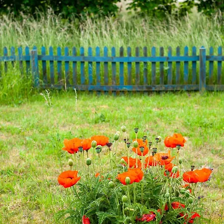 Feriehus Moeve Aba 63