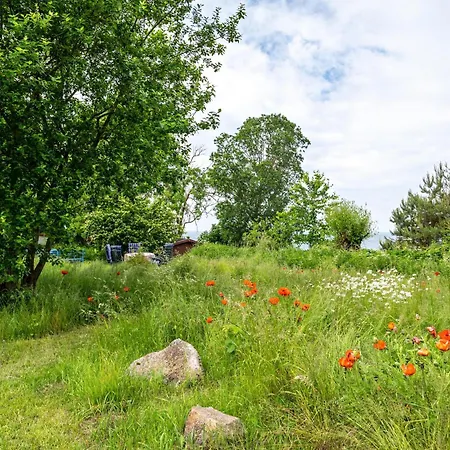 Feriehus Moeve Aba 63