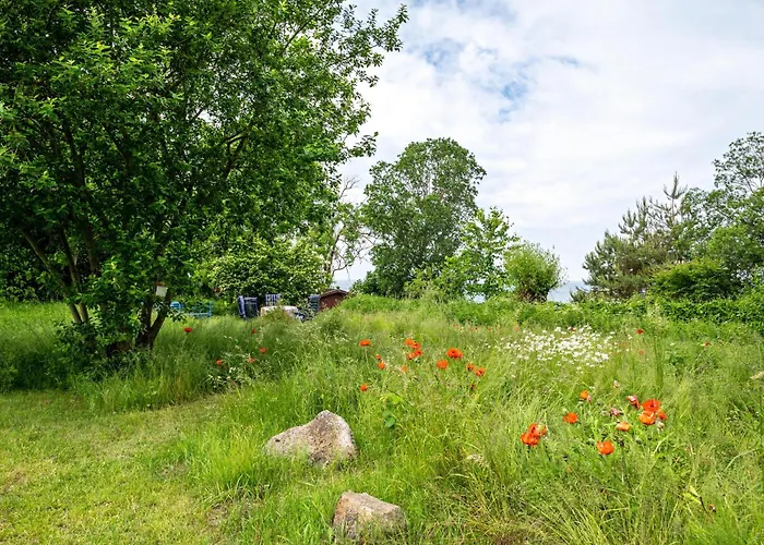 Tatil Evi Moeve Aba 63